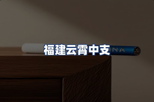 福建云霄中支